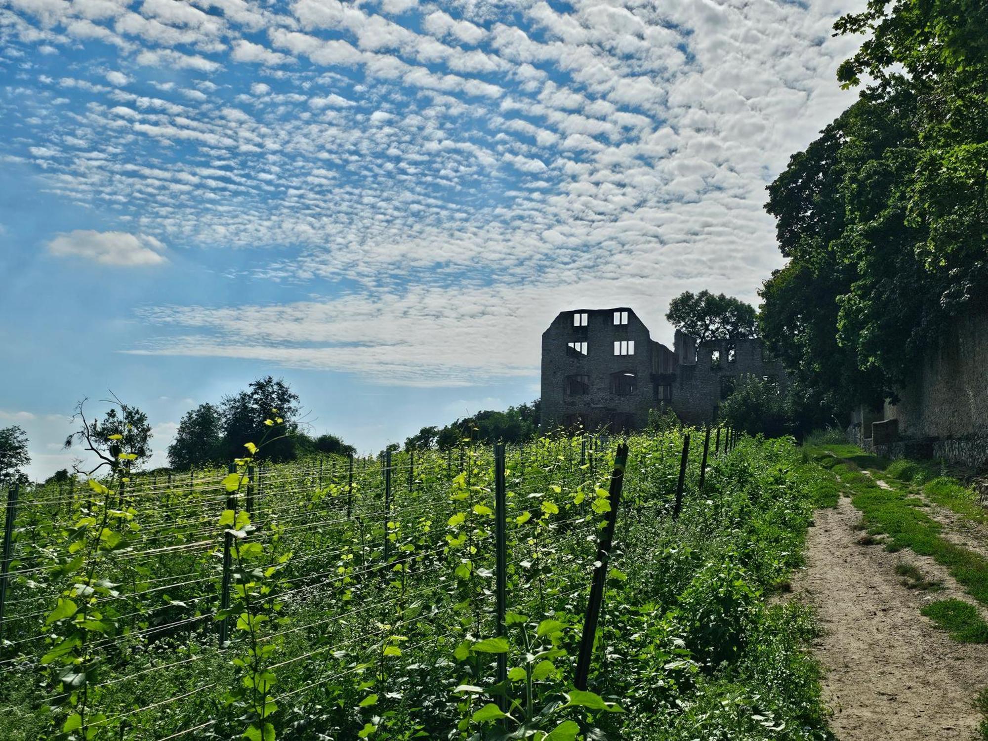 Villa Moderne Doppelhaushaelfte In Oppenheim Exterior foto